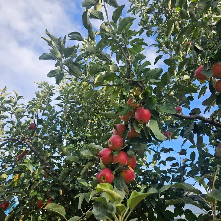 백산농원 사진 2