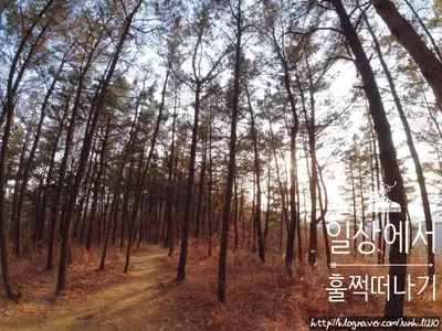 마천산주말농장