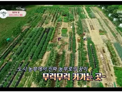 산우 주말농장