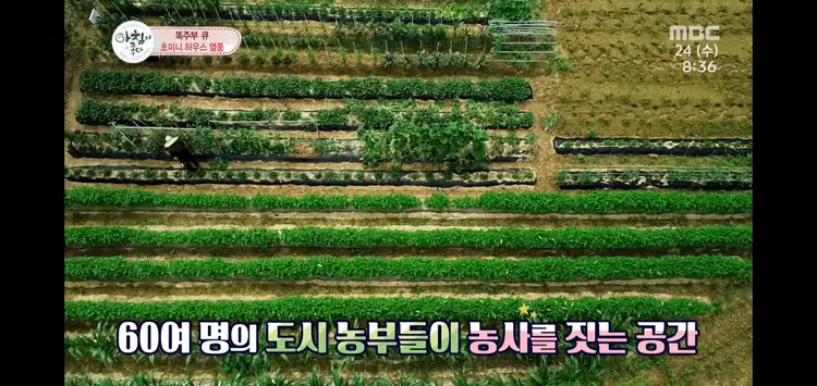 산우 주말농장 사진 2