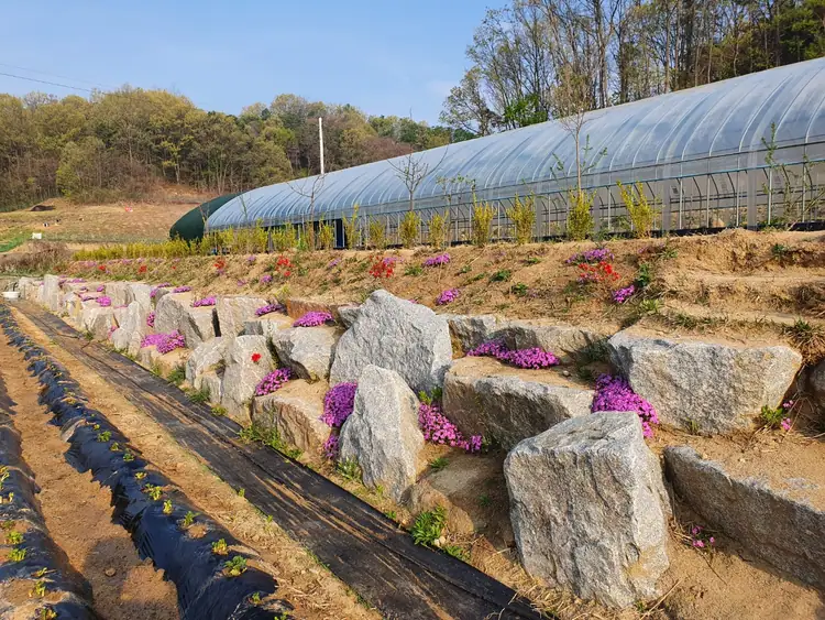 봉산팜 산들로 사진 2