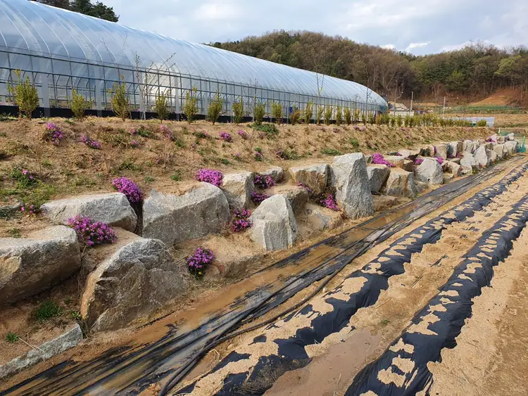 봉산팜 산들로 사진 3