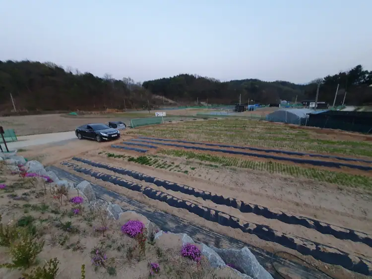 봉산팜 산들로 사진 4