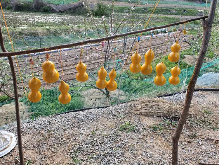 봉산팜 산들로 사진 5