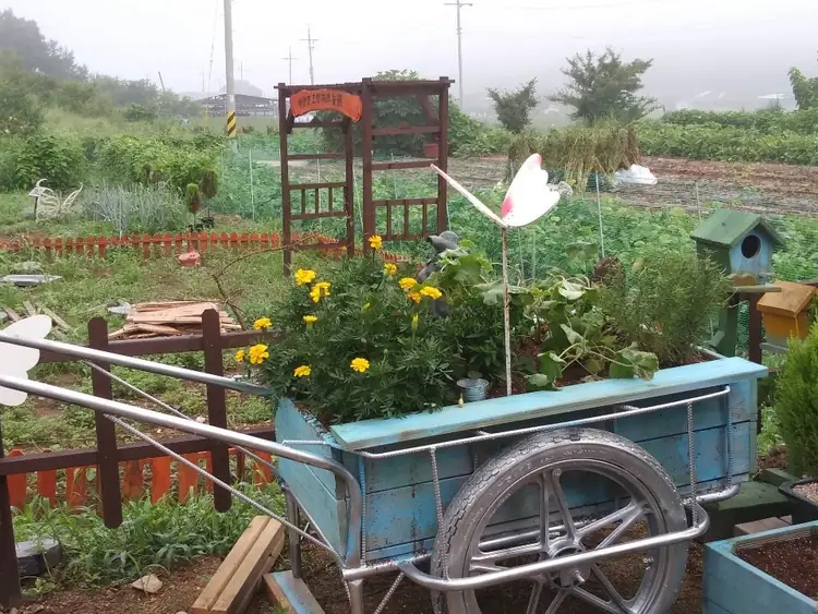 바람꽃농원 사진 5