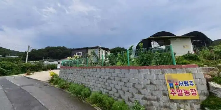 서원주주말농장 사진 4
