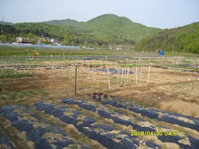 들꽃농원주말농장