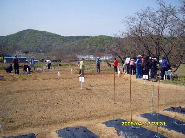 들꽃농원주말농장 사진 2