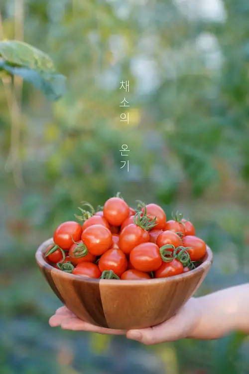 채소의 온기 사진 3