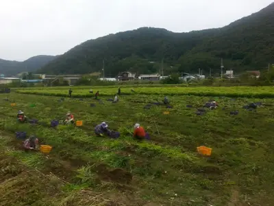 한울농장