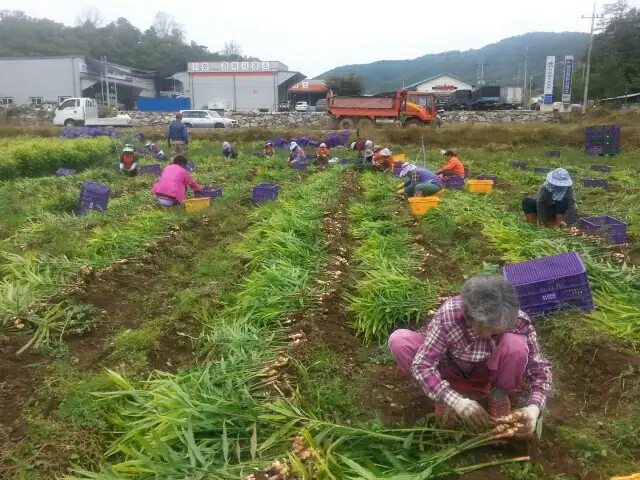 한울농장 사진 4