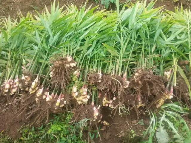 한울농장 사진 5