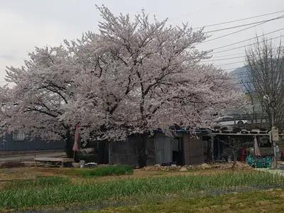 민성이네자연농원