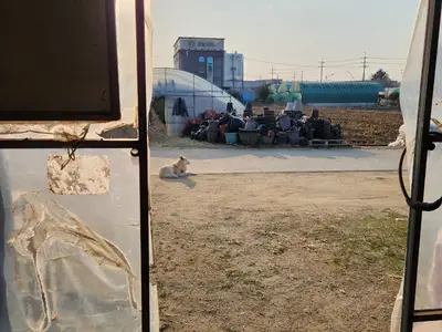 천향허브주말농장