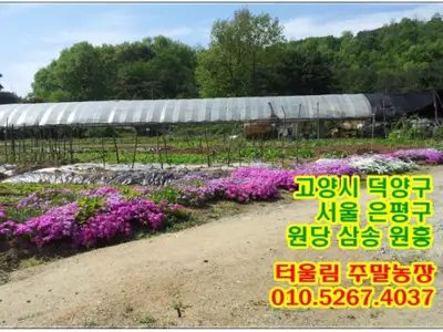터울림 주말농장