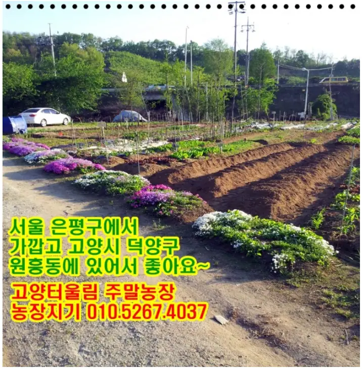 터울림 주말농장 사진 2