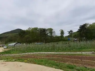 애플밸리사과농장