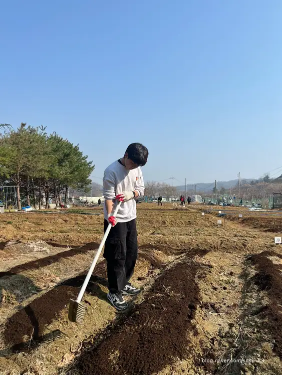 솔 농장 사진 4