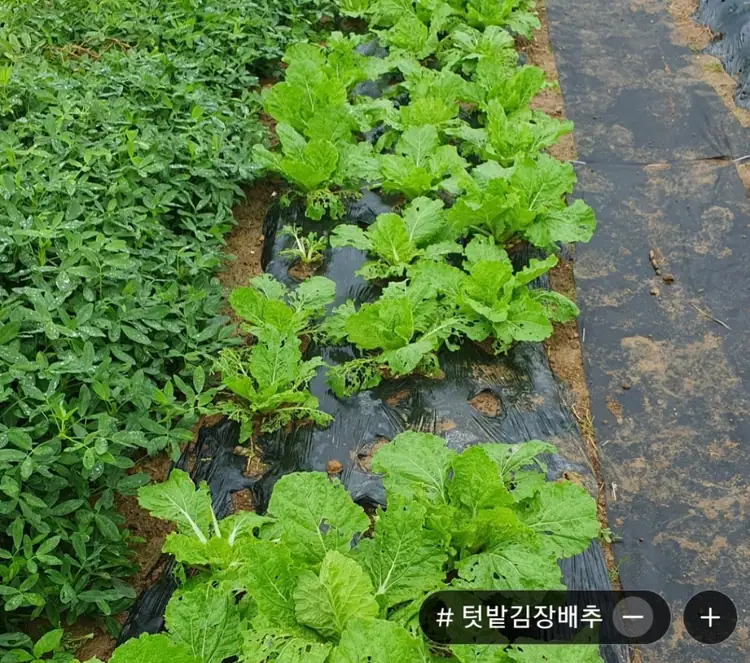 현대중공업가족주말농장 사진 1