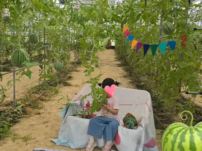 퐝퐝귤팜체험농장