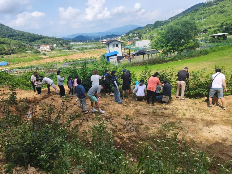 소민농장 사진 3