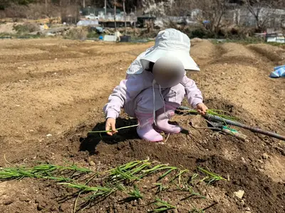 웰빙주말농장5농장
