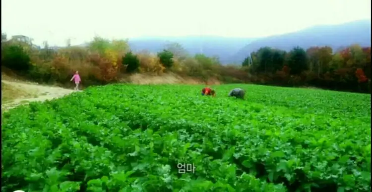 펀치볼가영이네 사진 4