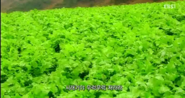 펀치볼가영이네 사진 5