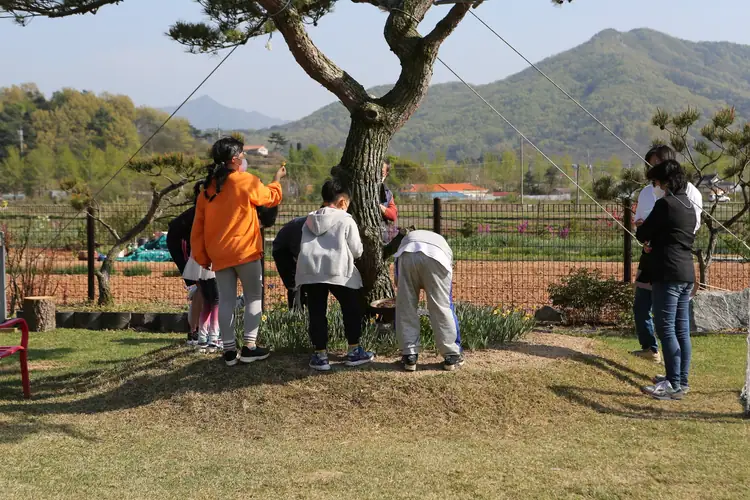계룡산마실농원 사진 5