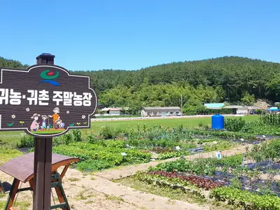 고성군주말농장