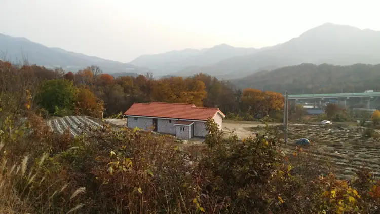 늘푸른 숲 사진 2