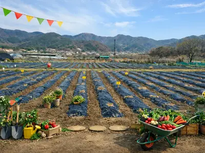 가창주말농장
