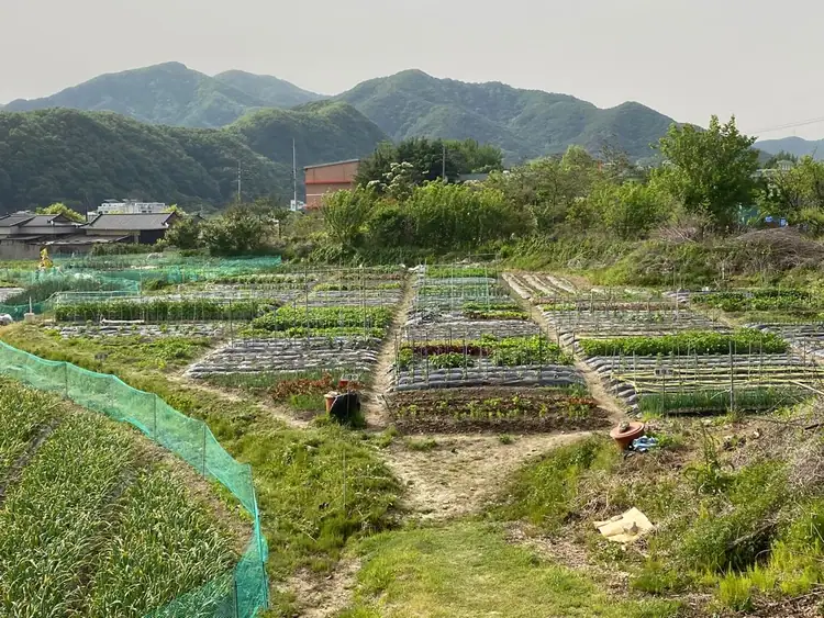 가창주말농장 사진 2