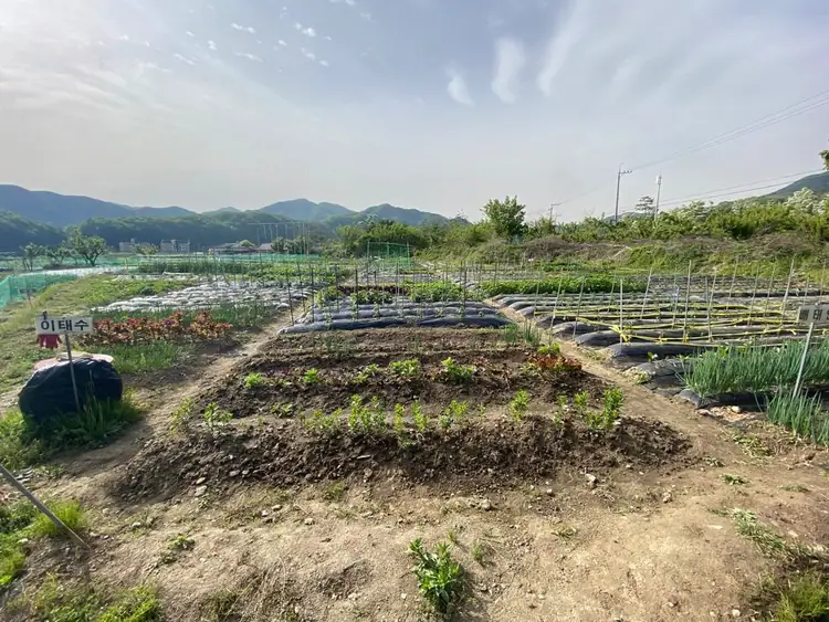 가창주말농장 사진 3