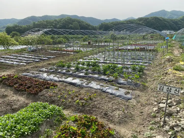 가창주말농장 사진 4