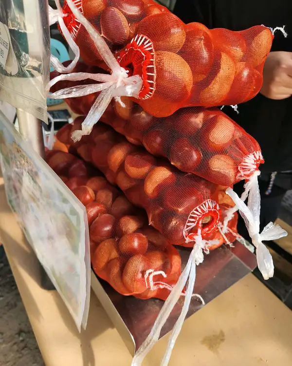 가고파농장 사진 2