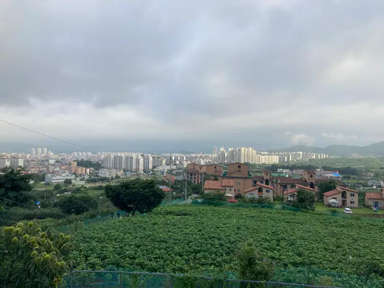 참된농부가사과농장 사진 2