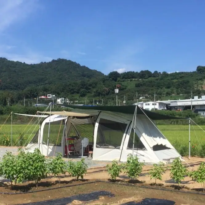 도담도담팜팜 사진 2