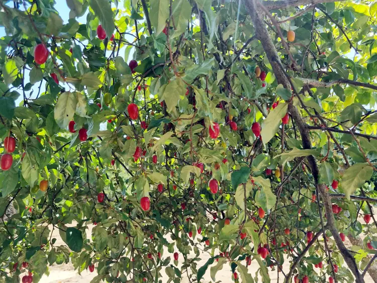 웰빙주말농장 사진 3