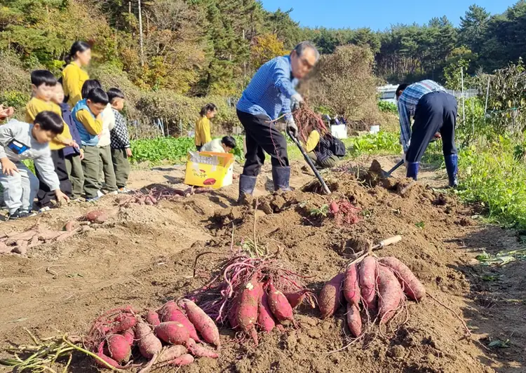 웰빙주말농장 사진 5