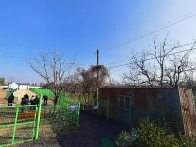 팔현도시텃밭
