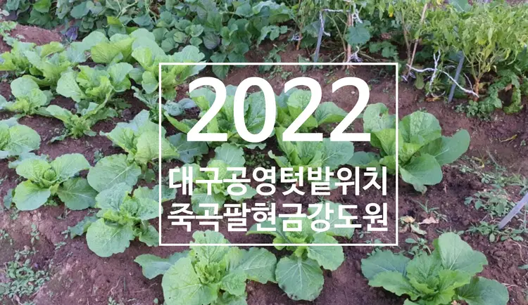 팔현도시텃밭 사진 2