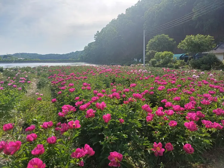 힐링팜 사진 2