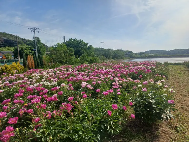 힐링팜 사진 5
