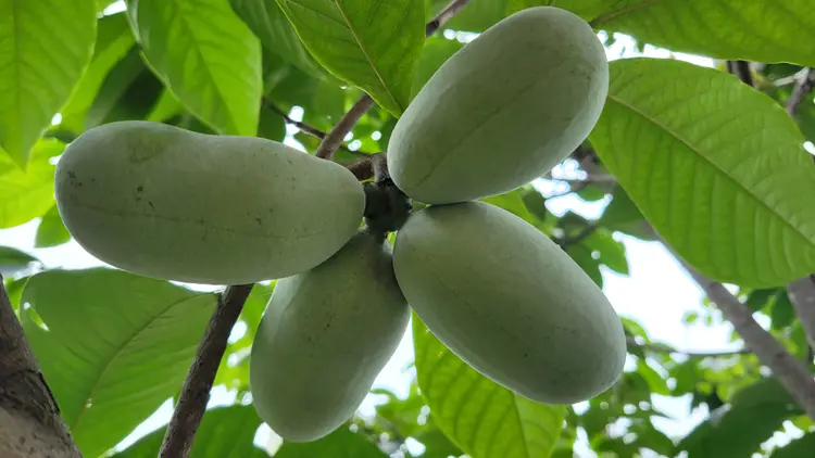 엘림농장 사진 3