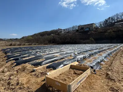 주말농장