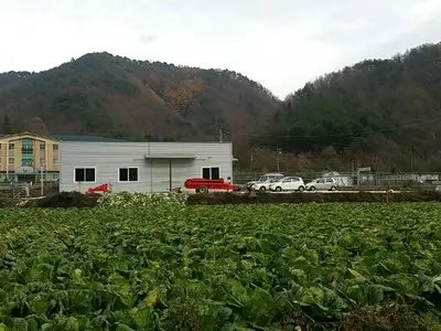 푸른행복농장