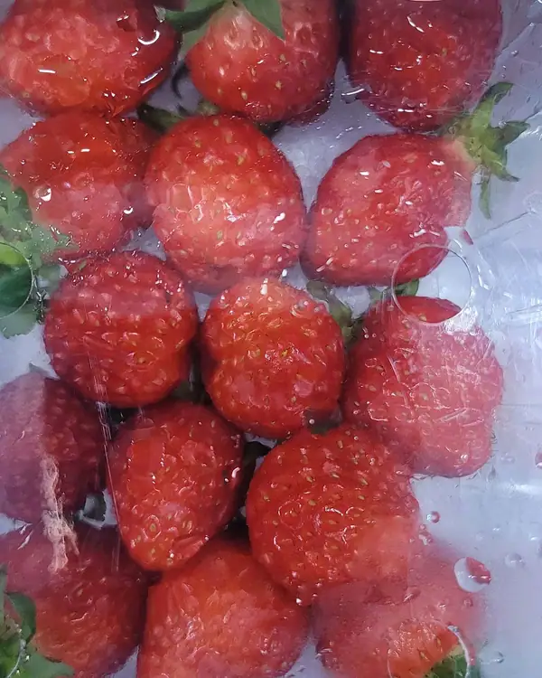 여러분 농장 사진 4