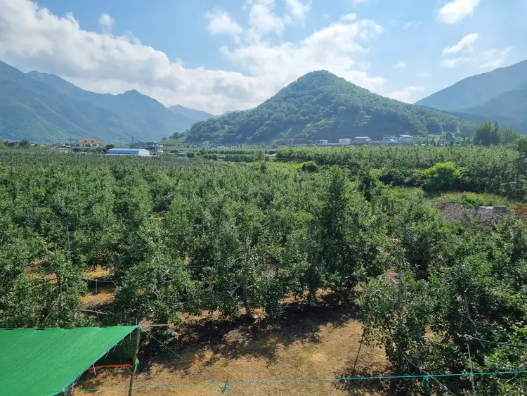 농업회사법인산내천 사진 2