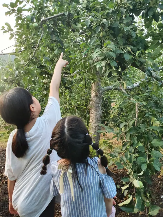 농업회사법인산내천 사진 3